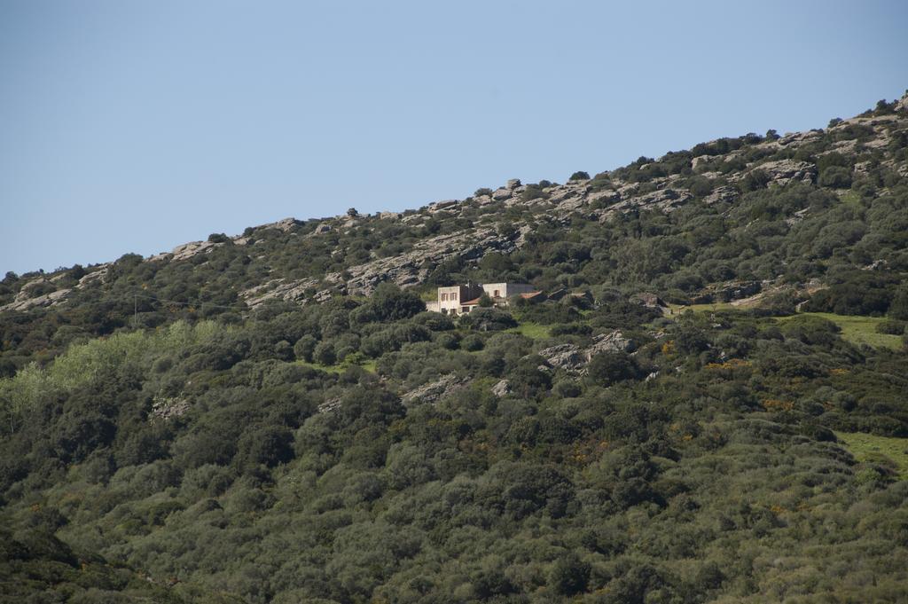 Campi Elisi B&B Sassari Kültér fotó